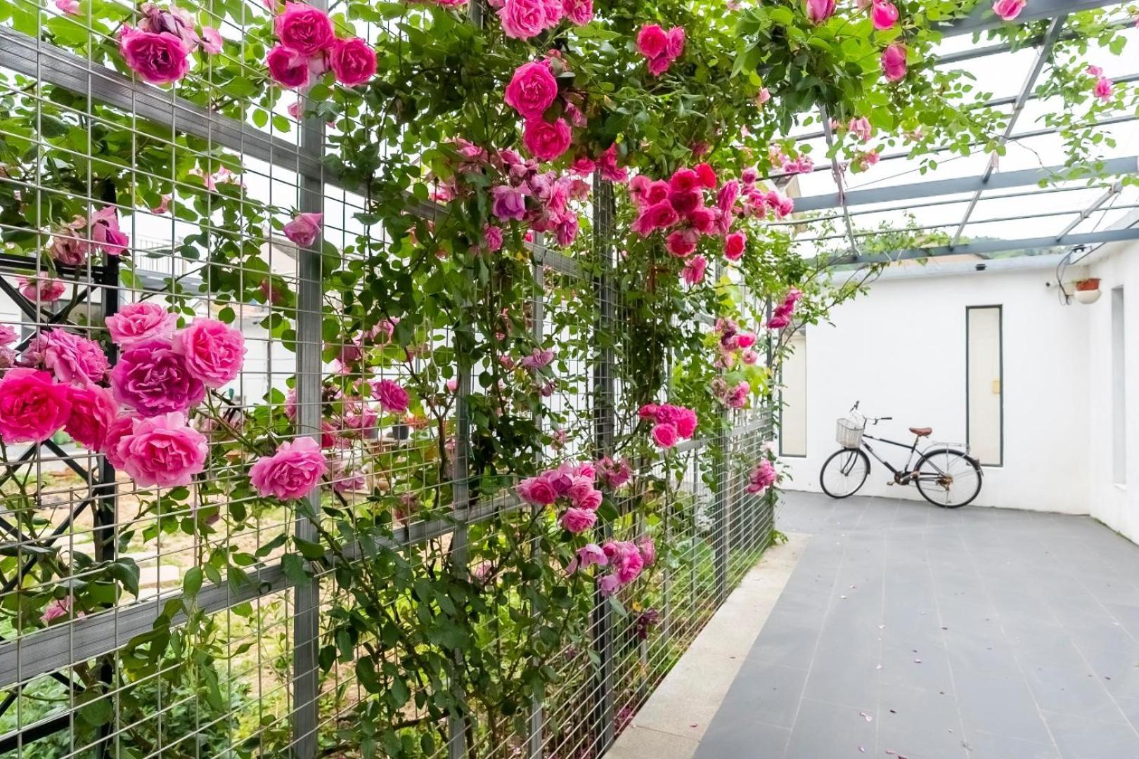 茶墅民宿 Suzhou  Esterno foto
